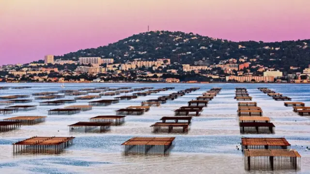 Устрицева ферма в Сет, регіон Лангедок-Руссійон