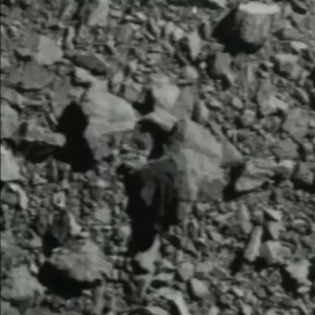 டார்ட் அனுப்பிய கடைசி படங்களில் ஒன்று இது.