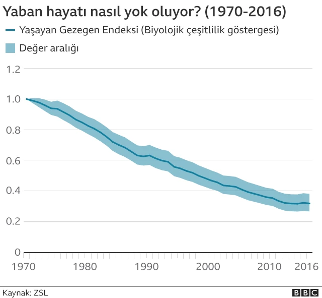 Doğal yaşam