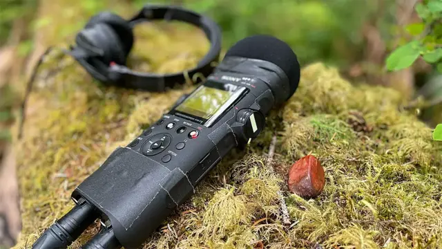 Piedra roja y grabadora en tronco