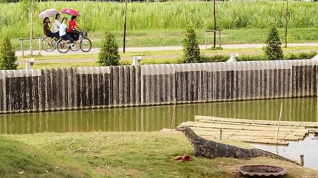 บรรยายกาศภายในฟาร์มวรานัส