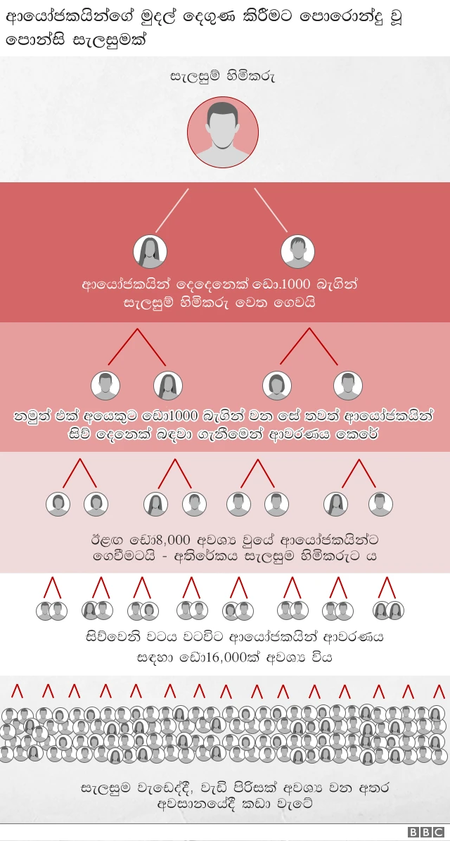 පොන්සි සැලසුමක්
