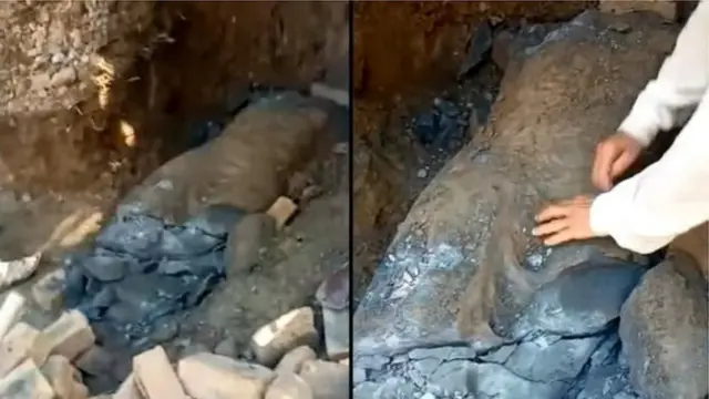 بدھا، تخت باہی