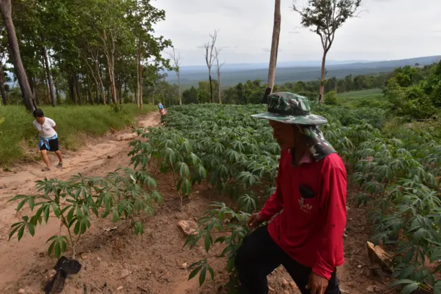 ชาวบ้านไทรทอง อ.หนองบัวระเหว จ.ชัยภูมิ