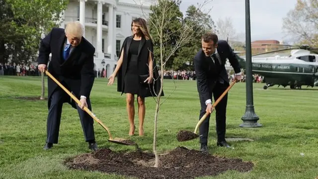 رهبران در کاخ سفید درخت می کارند