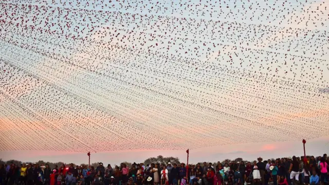 Decoraciones en la fiesta de Rubí