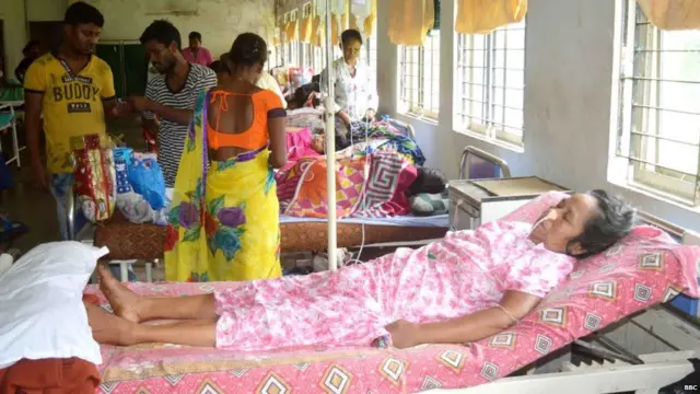 जापानी बुखार