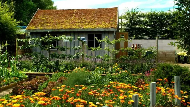 बागवानी