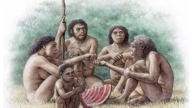 මසුන් මැරීම පිණිස භාවිත කරන ලද පෞරාණික බිලී කොකු මීට ඉහතදී ටිමෝරයේදී සොයාගෙන තිබේ