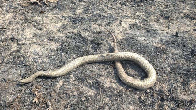 Segundo o secretáriocódigo bônus bet365Meio Ambiente, Desenvolvimento Econômico, Produção e Agricultura Familiar, Jaime Verruck, a maioria das queimadas não ocorre por causas naturais, mas intencionais, feitas por fazendeiros ou populações indígenas