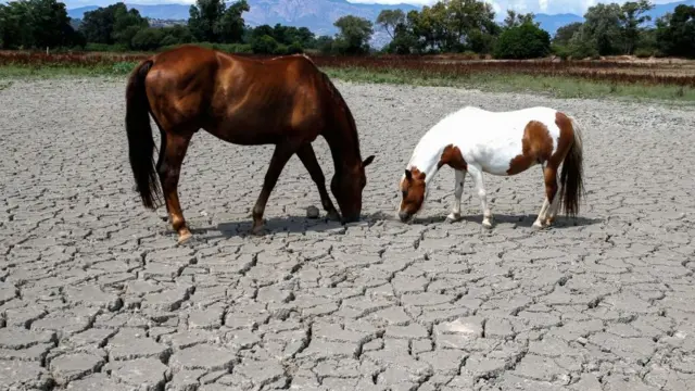 Корсика, өткөн жылдын июль айы