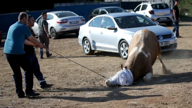 أشخاص في طريقهم لذبح الأضحية، في مدينة اسطنبول التركية.