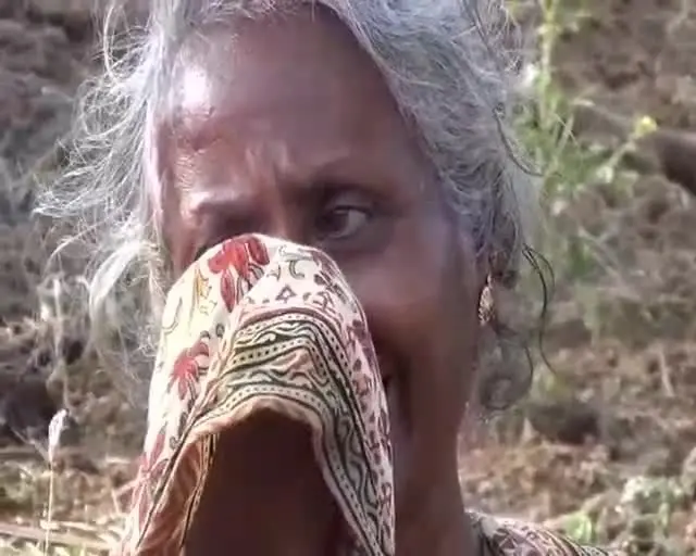 பசுமை சாலை திட்டம்