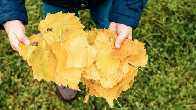 متولدین سپتامبر در امتحانات موفق‏ترند و احتمال این که ۱۰۰ سال عمر کنند در آن‎ها بیشتر است