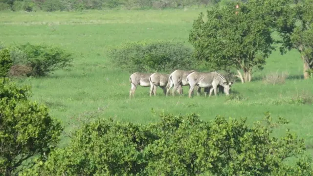 Yigitning ayollarga erkalashi haqidagi videoni tomosha qiling
