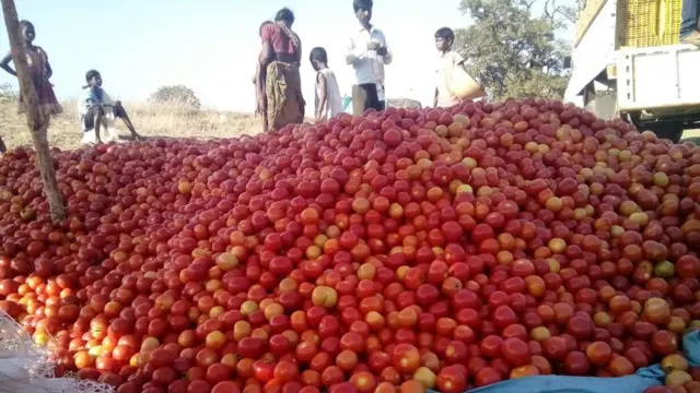 केउनझार में सोमवार को कई किसानों ने कलेक्टर कार्यालय के सामने सड़क पर टमाटर फेंक कर प्रदर्शन किया.