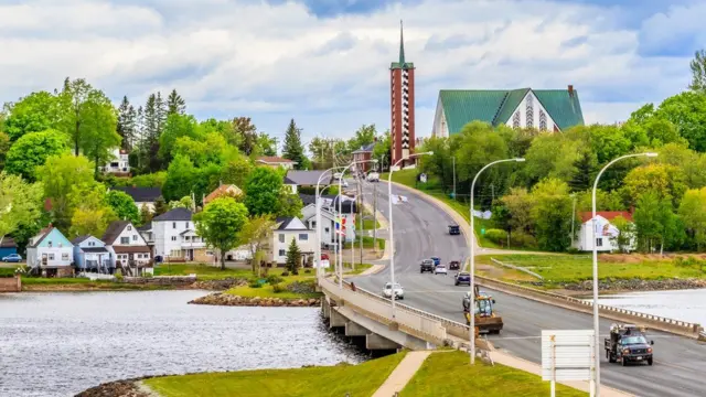 রজার এলিস থাকতেন বাথহার্স্ট শহরে