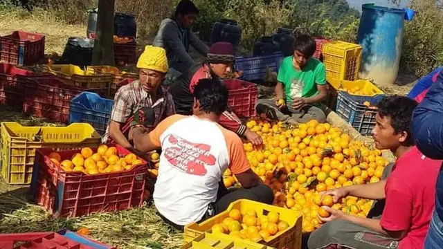 सुन्तला