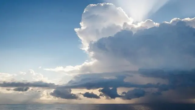 प्रजनन, नर-मादा संबंध