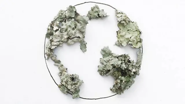 Planeta Tierra con musgo