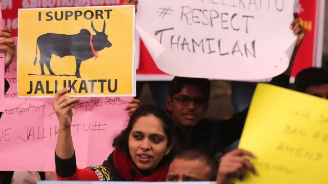 जल्लीकट्टू के समर्थन में एक औरत