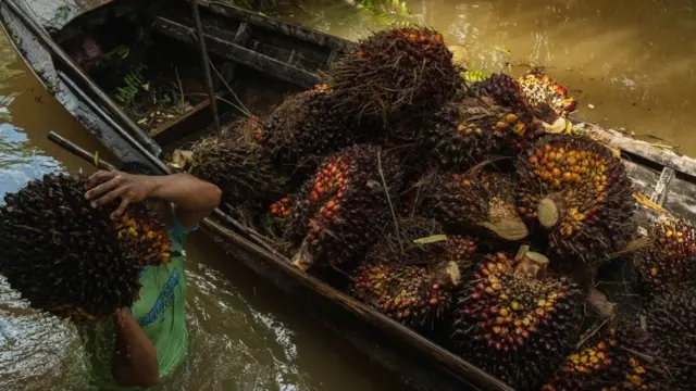 இந்தியாவின் தேவையை ஈடுகட்ட தயார் நிலையில் இந்தோனீசியா
