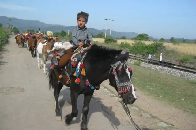 बक्करवाल, जम्मू-कश्मीर, कठुआ