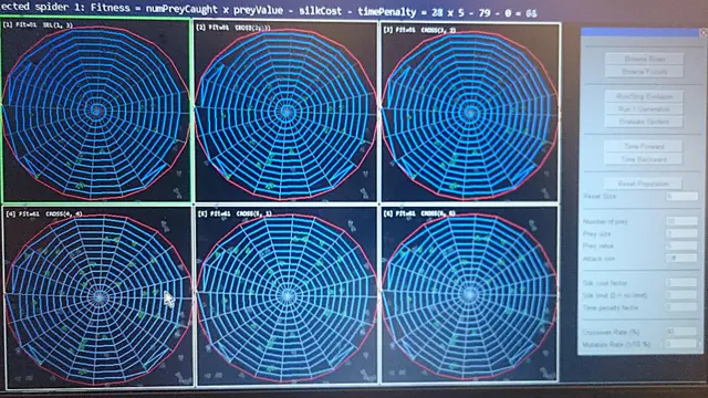 Análisis de telarañas