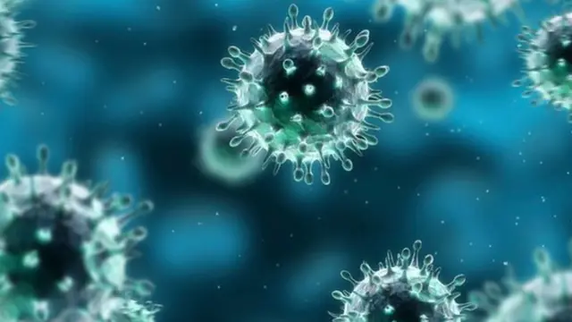 flu virus