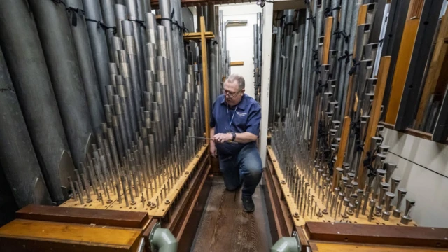 Un hombre en el desván del órgano, entre dos hileras de tubos. Se inclina para afinar el órgano con un cuchillo de lengüeta. Lleva vaqueros y una camisa azul con un cordón.
