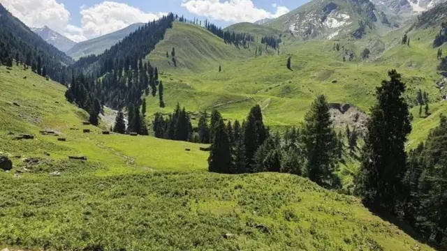 పాకిస్తాన్ 