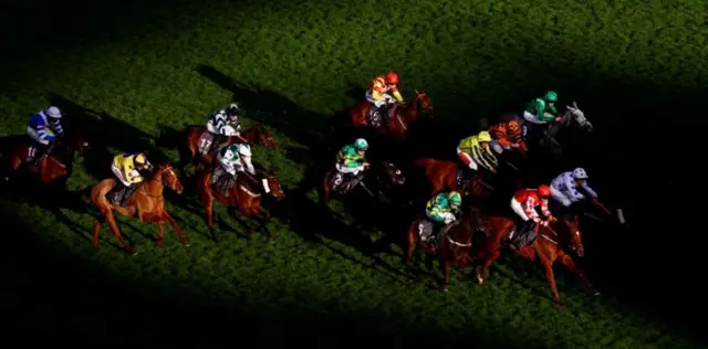 শেলটেনহ্যাম ফেস্টিভালে