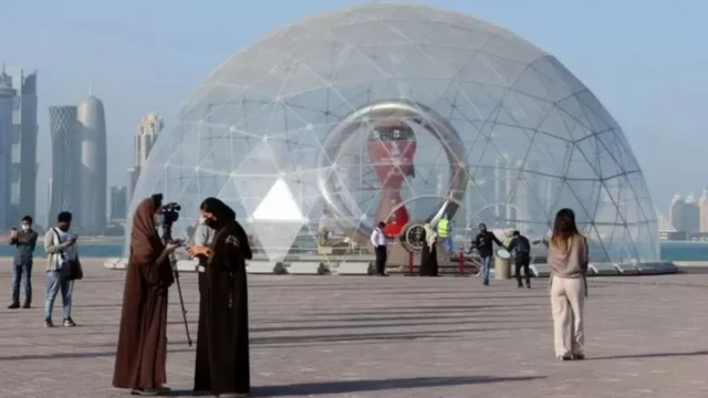 ਫੀਫਾ ਵਿਸ਼ਵ ਕੱਪ