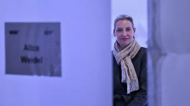 AfD'nin başbakan adayı Alice Weidel 