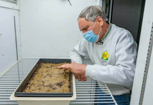 ਫ੍ਰੈਂਕ ਟੈਲੀਵਸਕੀ