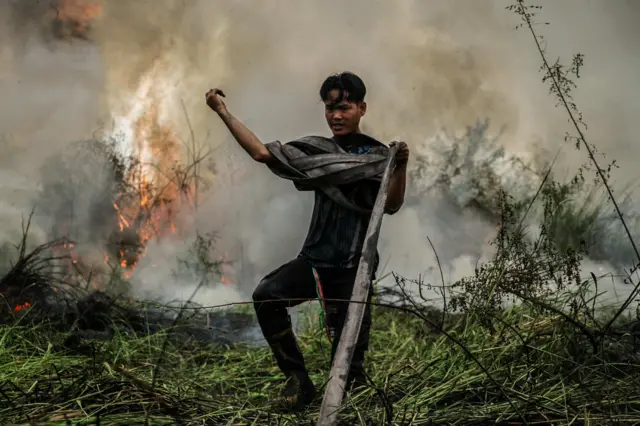 Petugas pemadam kebakaran Dinas Kehutanan Kalteng menggulung slang saat pemadaman kebakaran lahan gambut di Kelurahan Bukit Tunggal, Palangka Raya, Kalimantan Tengah, Minggu (12/7/2026). Pemerintah Kota Palangka Raya telah menetapkan status siaga darurat kebakaran hutan dan lahan (karhutla) sejak 1 Juni hingga Agustus 2026 sebagai bentuk kesiapsiagaan menghadapi musim kemarau mengingat telah terjadinya beberapa titik peristiwa karhutla di wilayah Palangka Raya. 