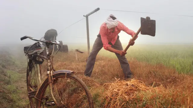 બીબીસી ગુજરાતી