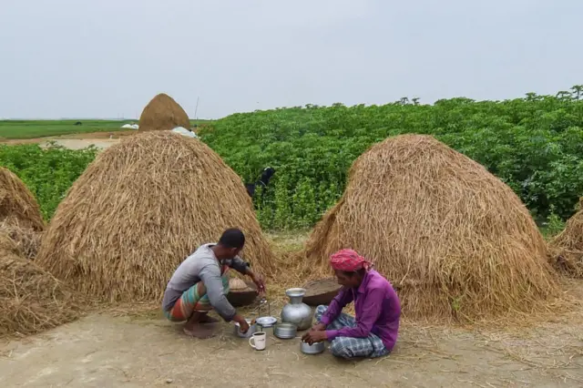 কোনও ধানে প্রোটিনের পরিমাণ ৯ শতাংশের বেশি থাকলে সেটিকে উচ্চ প্রোটিনসমৃদ্ধ ধান হিসেবে গণ্য করা হয়।