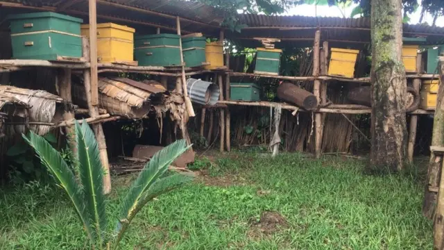 Bazororeye ahantu hatoya mu busitani bwa Saidati, umwe mu bagize ishyirahamwe. Imitiba 'ya kizungu' [y'imbaho] yiganje hejuru iya kinyarwanda hasi