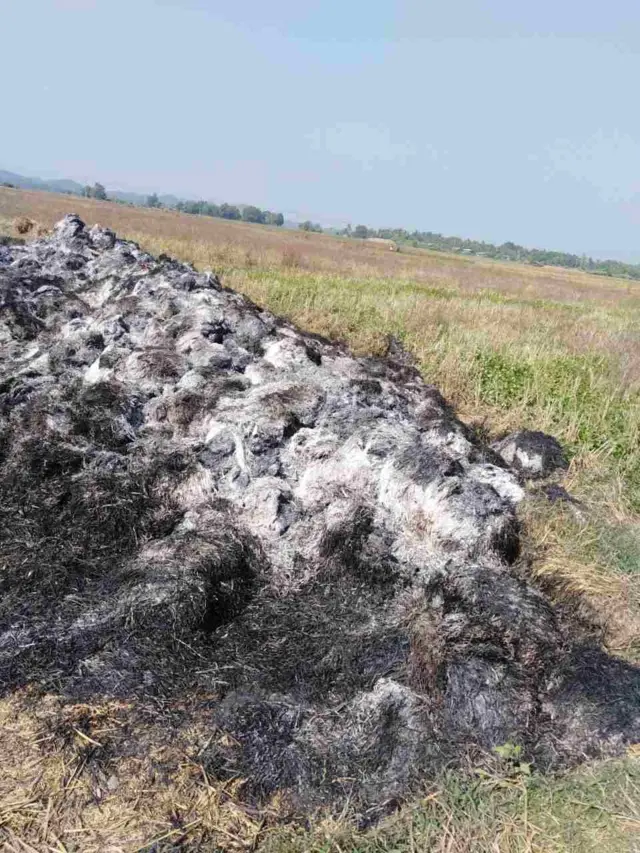 မင်းပြား