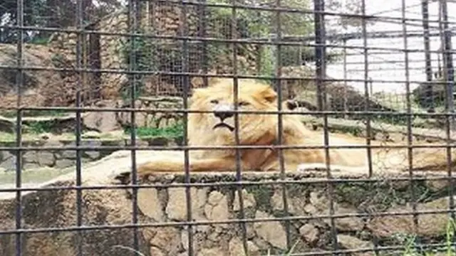 Ọgba ẹranko to wa ni Jos