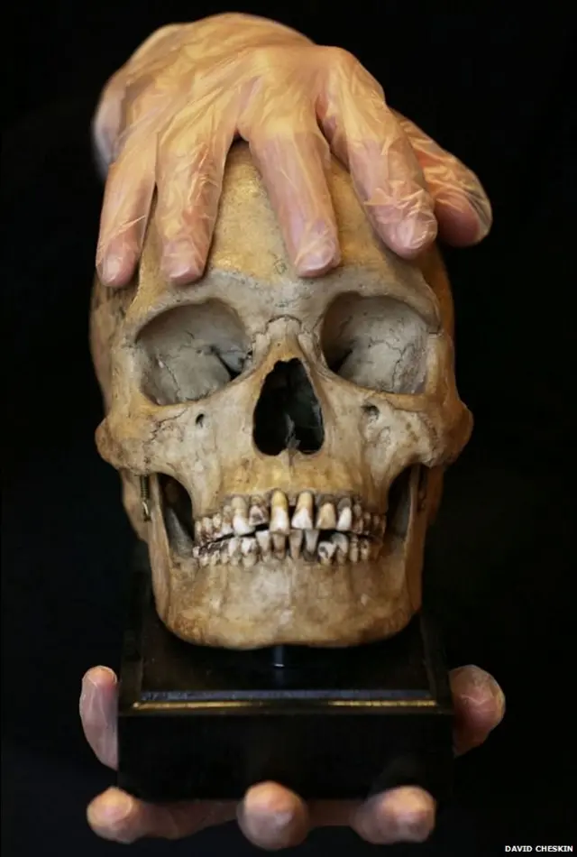 वेद्दा जनजाति के अवशेष