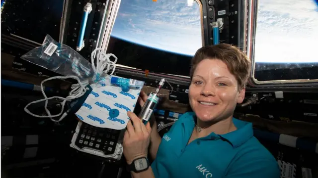 Энн Макклейн