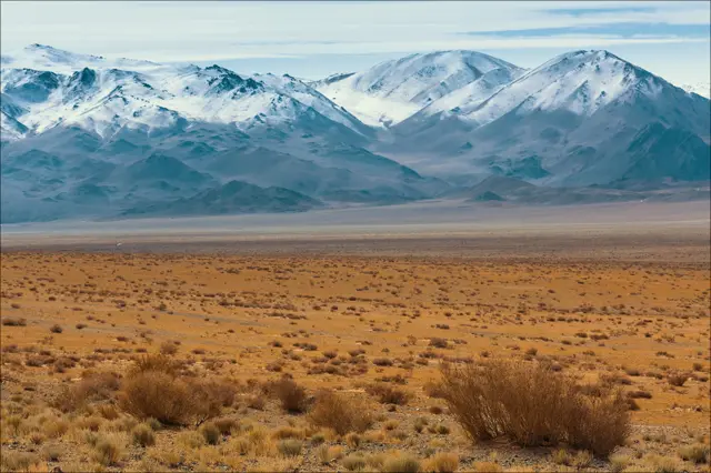 Охота с золотым орлом