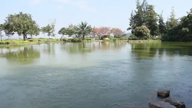 Ikidendezi cy'amashyuza mbere y'uko gikama