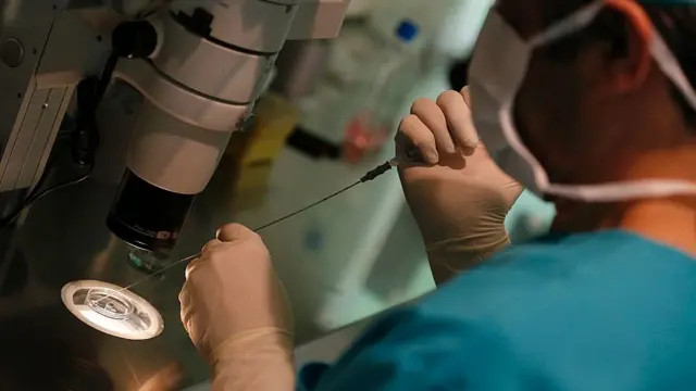 Técnica de reproducción asistida (archivo)