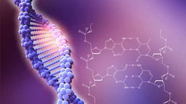CRISPR, düzenli aralıklı kısa palindromik tekrar kümeleri anlamına geliyor