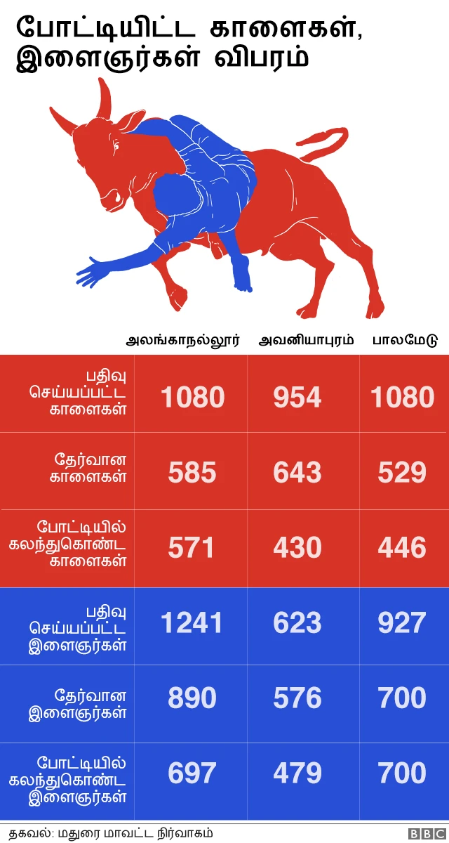 ஜல்லிக்கட்டு