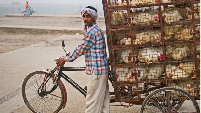 પ્રતીકાત્મક તસવીર