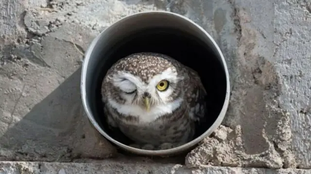 Simbira ija takkaan nama ilaaltu